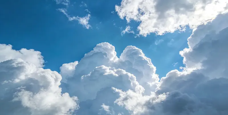 肺癌12基因ctDNA突变检测(血液）图2