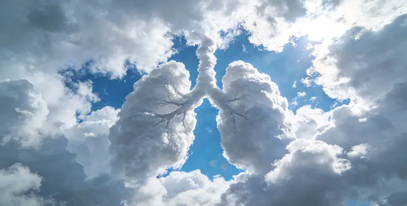 肺癌12基因ctDNA突变检测(血液）图4