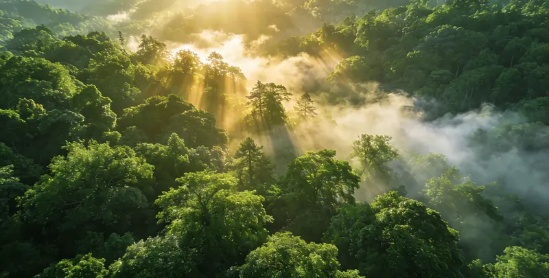 福州肺癌68基因检测图片1
