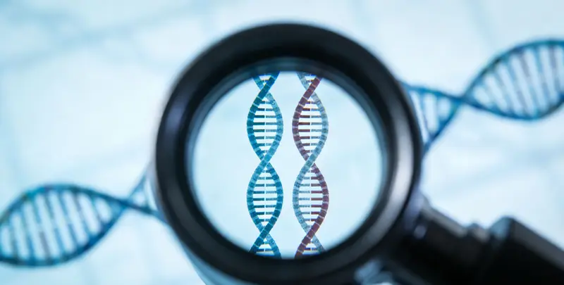 司法亲子鉴定2人图2